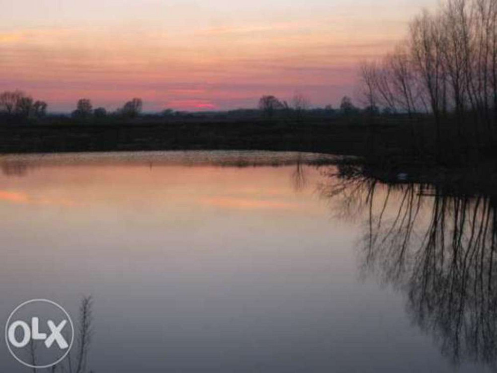 Продаж земельної ділянки 12 соток  - фото 1