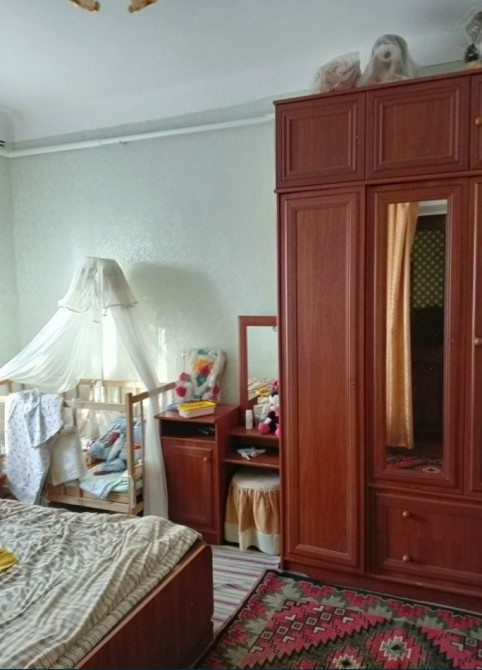 Предлагается к продаже частный дом в Троицком Новотроїцьке (Любашівський район) - фото 7