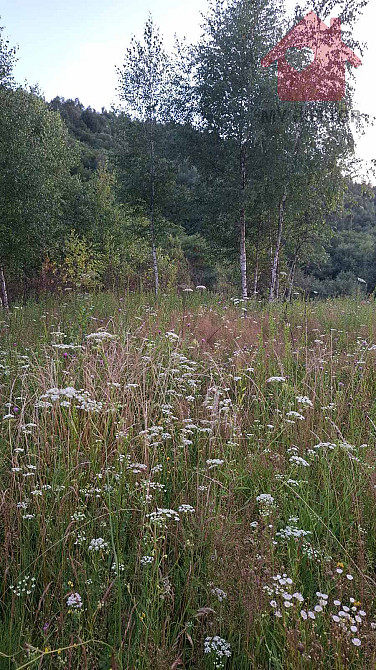 Продаж земельної ділянки 25 соток Uzhhorod - photo 8