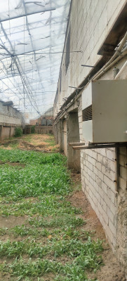 Дом с собственным бизнесом Нерубайське - фото 3