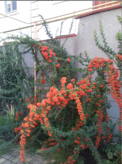 Добротний сучасний будинок для дружньої родини. Odessa - photo 13