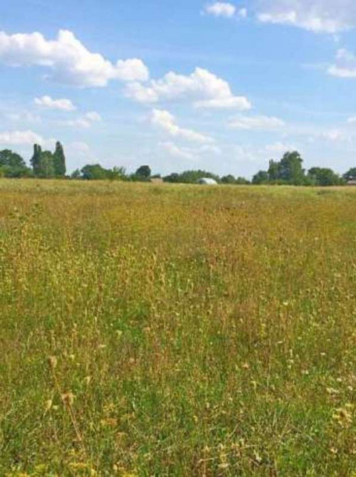 Продаж земельної ділянки 12 соток  - фото 3