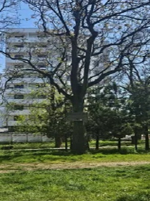 Однокомнатная квартира в ЖК Алексеевский Odessa - photo 13