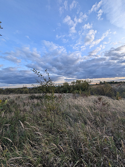 Продаж земельної ділянки 38.05 соток на Незалежності Угринів - фото 2