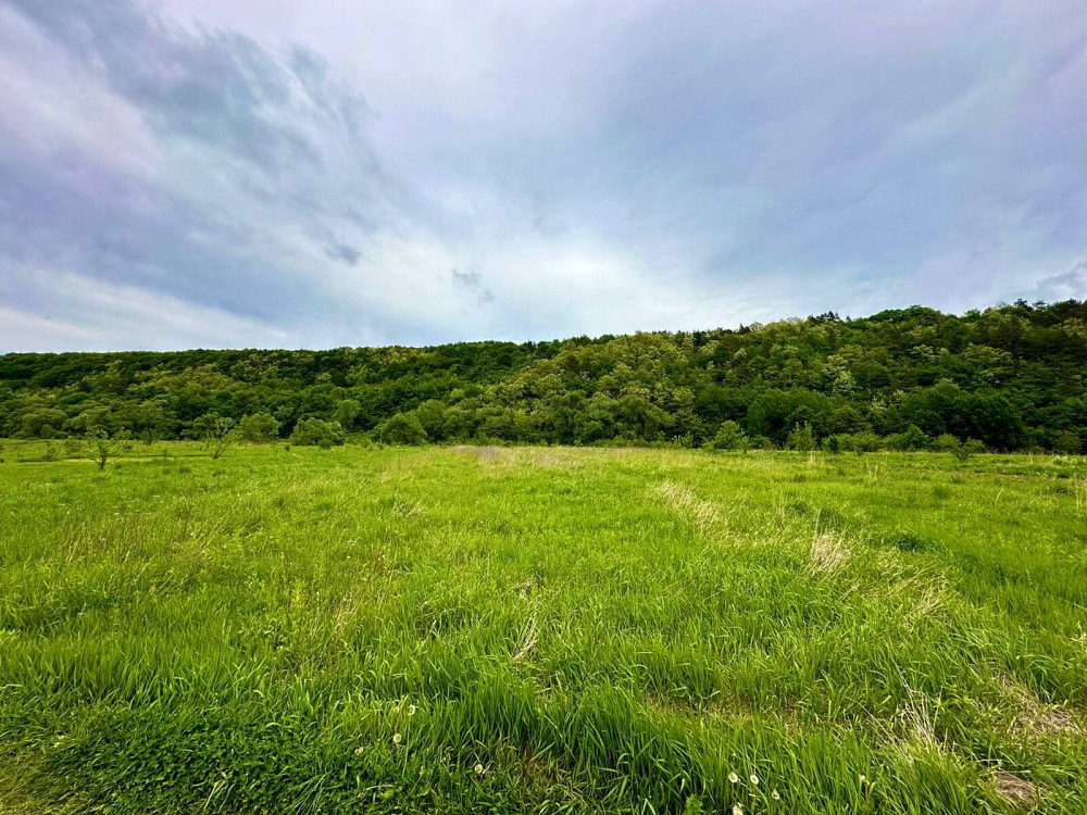 Продаж земельної ділянки 5 соток на Лісова Vovchynets - photo 1