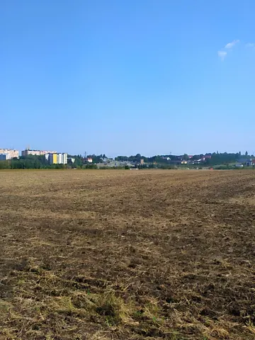 Продаж земельної ділянки  площа 240 сот вул. Бережанська 1 Підгородне - фото 2