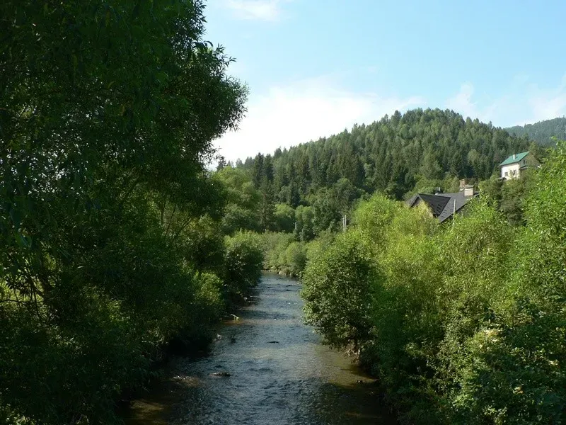 Продаж База відпочинку / готель площа 492 кв.м на захар беркут Славське - фото 3