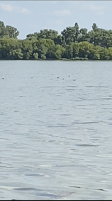 Продаж земельної ділянки 9 соток на Летичів Vinnytsya - photo 2