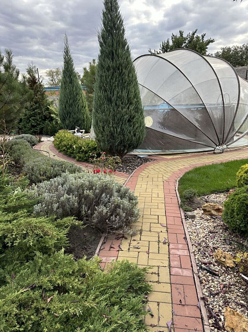 Продаж Будинок Олександрія - фото 13