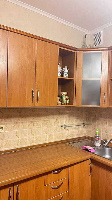 Оренда Квартира 1-кімнатна, 10/16 поверх на Гришко Михаила ул., 10 Kiev - photo 2