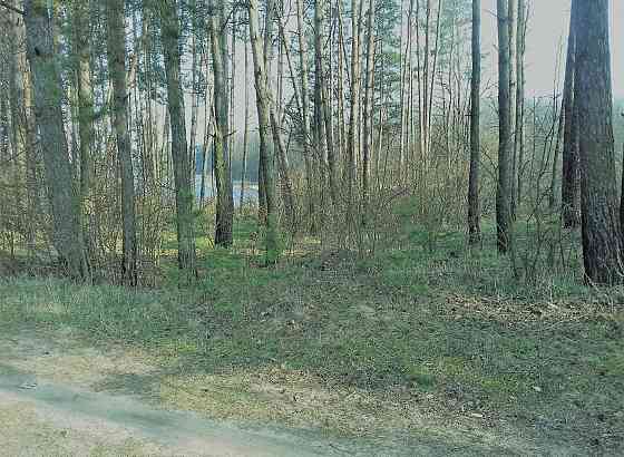 Продаж земельної ділянки 20 соток на Корчак Житомир