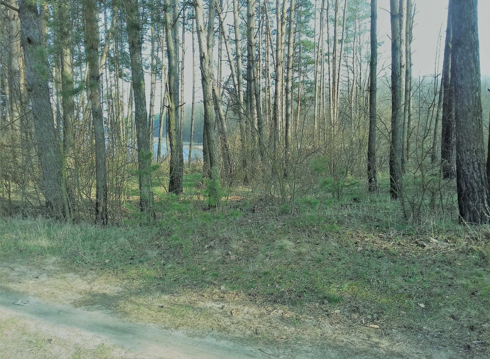 Продаж земельної ділянки 20 соток на Корчак Житомир - фото 1