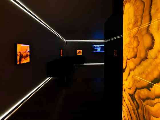 Оренда Квартира 1-кімнатна, 20/24 поверх на Тичини, 2 Київ