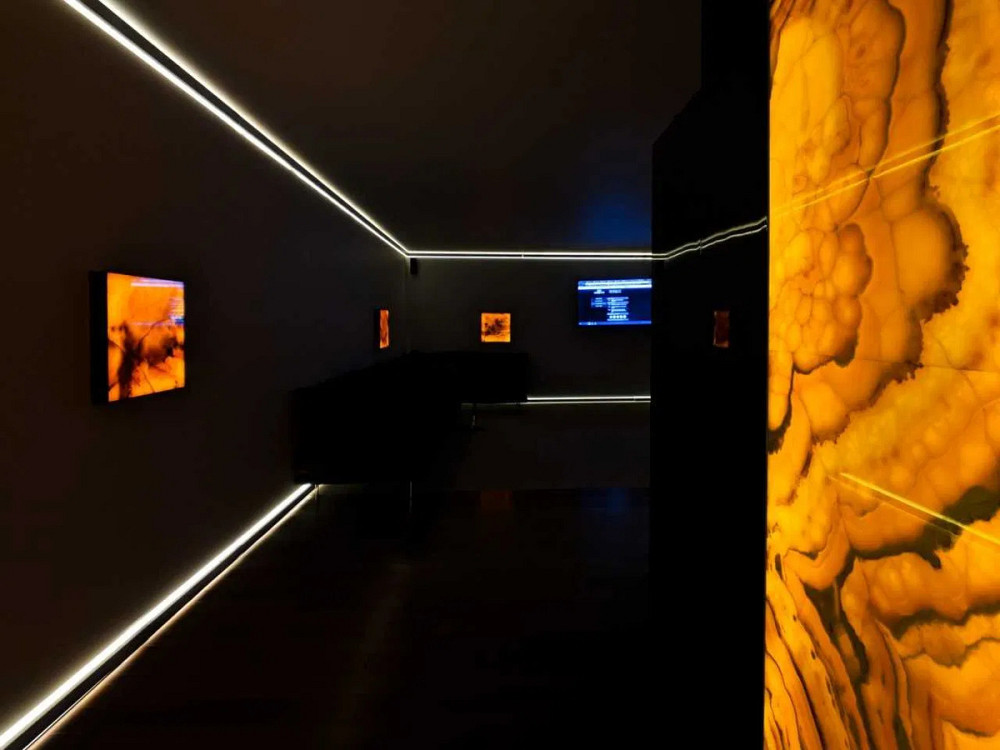 Оренда Квартира 1-кімнатна, 20/24 поверх на Тичини, 2 Київ - фото 6