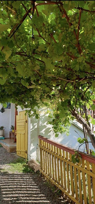 Продаж Будинок 3-кімнатний на Садовая ул., 2 Vynarivka - photo 4