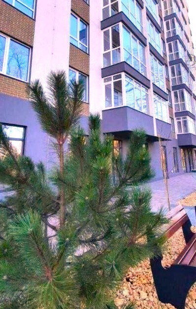 Продаж Квартира 2-кімнатна, 6/11 поверх на Профсоюзная улица Odessa - photo 12