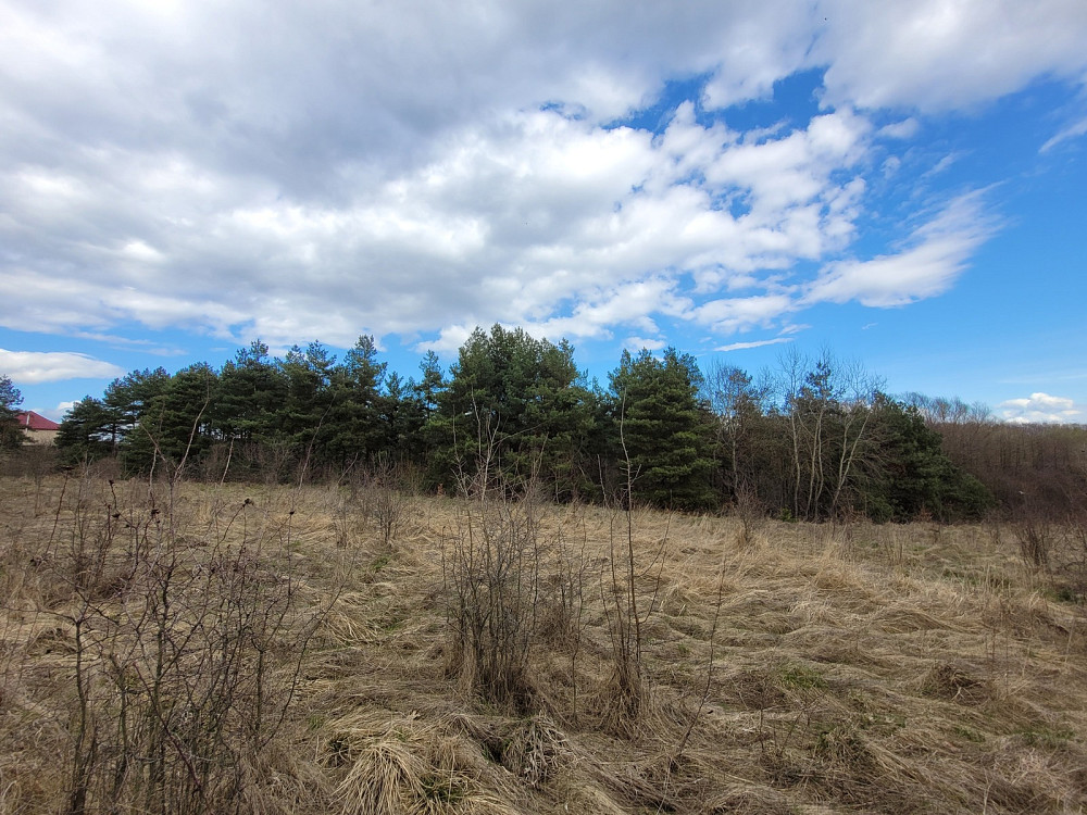 Продаж земельної ділянки 1.87 га Kolodiivka - photo 5