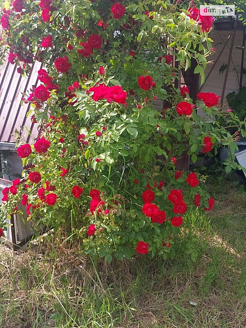 Продаж Будинок Турбів - фото 11