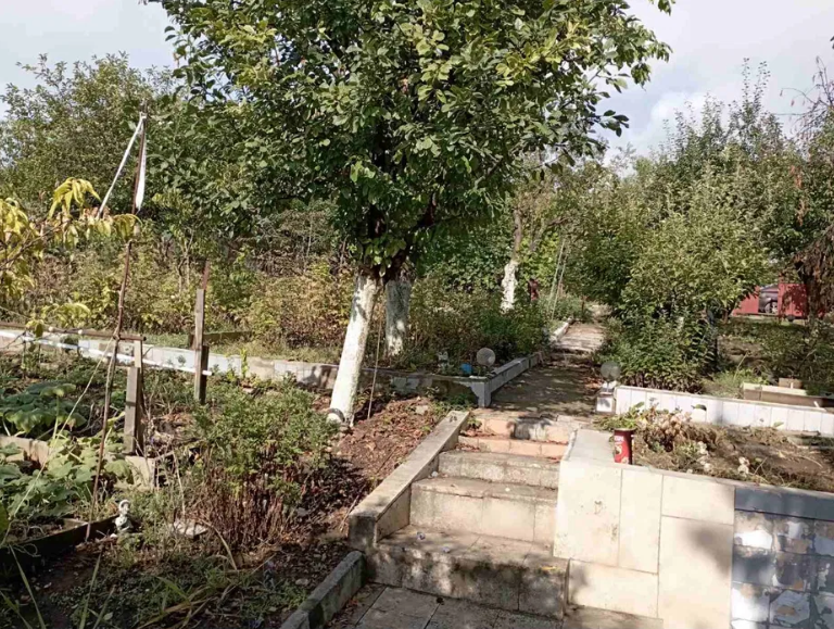 Продам дачу на берегу Хаджибеевского лимана (СМ "Отрадово", Болгарка) Odradove - photo 8