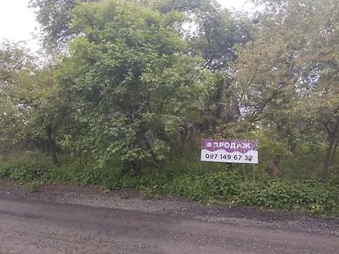 Продаж земельної ділянки Для будівництва приватного житлового будинку площа 25 сот Веснянка Луцьк - фото 1