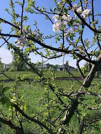 Продаж земельної ділянки 16 соток на Зарічани Житомир