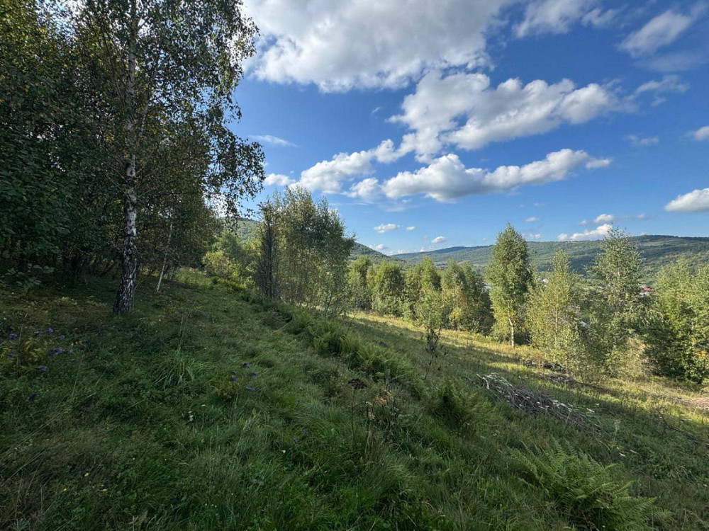 Продаж Квартира на улица шевченка 3 Корчин (Сколивський район) - изображение 5