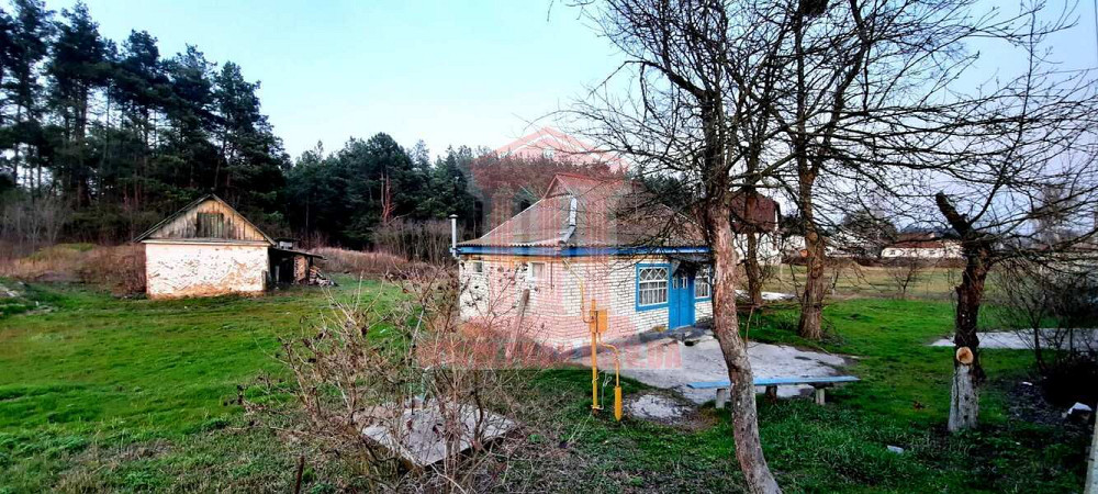 Продаж 1-поверховий Будинок з ділянкою 11 сот 50 кв.м    - фото 2