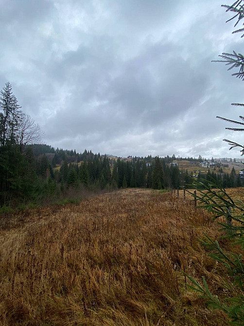 Продаж земельної ділянки 1 га  - photo 4