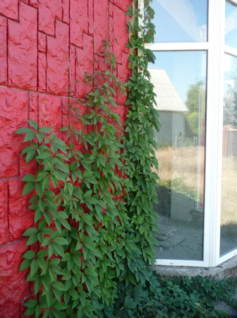 Продам дом в английском стиле в с.Фонтанка-3 (5 км от Одессы) Фонтанка