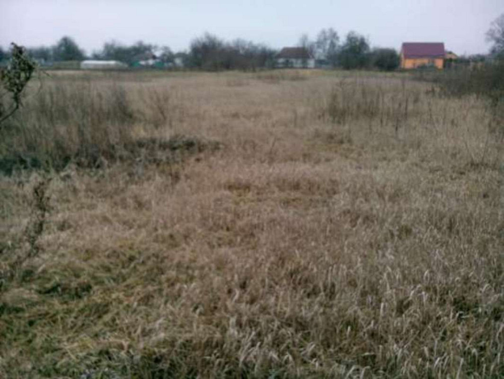 Продаж земельної ділянки 30 соток  - фото 2