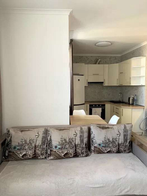 Оренда Квартира 1-кімнатна, 8/14 поверх на пр. Берестейский (пр. Победы) Київ - фото 4