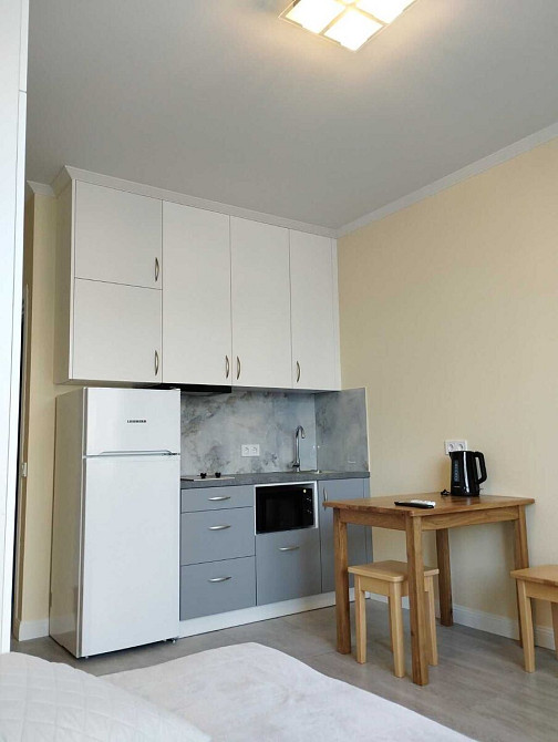 Оренда Квартира 1-кімнатна, 4/21 поверх на вул. Братів Чибінєєвих, 8А Київ - фото 8