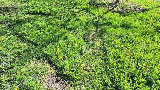 Продаж земельної ділянки 6 соток на садовое товарищество - Сулимовское-1 Сулимовка (Яготинський район)