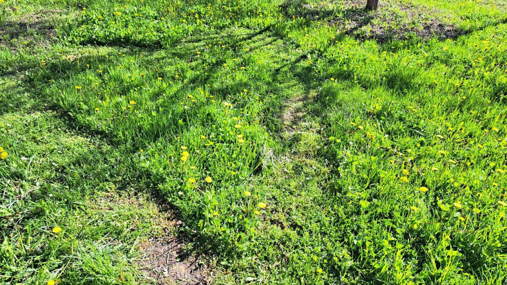 Продаж земельної ділянки 6 соток на садовое товарищество - Сулимовское-1 Сулимовка (Яготинський район) - изображение 5