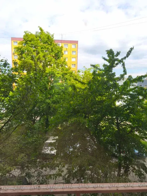 Оренда 3к Квартира 70 кв.м Генерала Свободи 7 Ужгород - фото 12