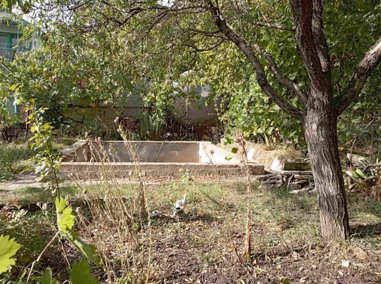 Продам дачу на берегу Хаджибеевского лимана (СМ "Отрадово", Болгарка) Odradove - photo 12