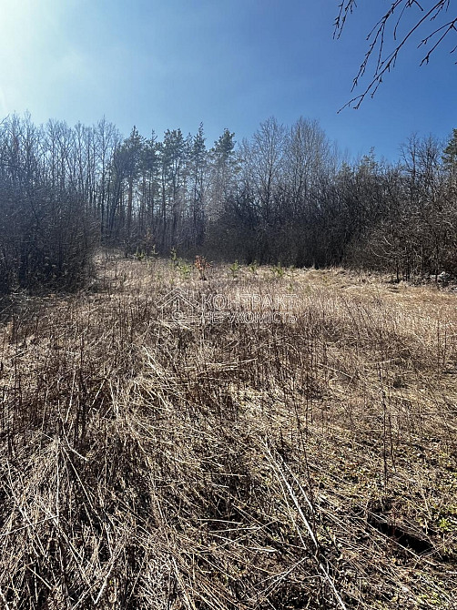 Продаж Будинок 3-кімнатний на вул. в'їзд Лісний Новая Водолага - изображение 10