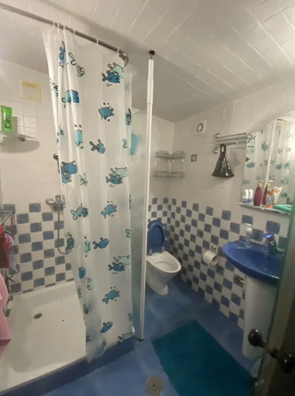 Продам дачу возле моря в Новой Дофиновке (243 Причал) Nova Dofinivka - photo 8