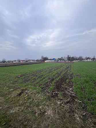 Продаж земельної ділянки 30 соток на Клітчин Житомир