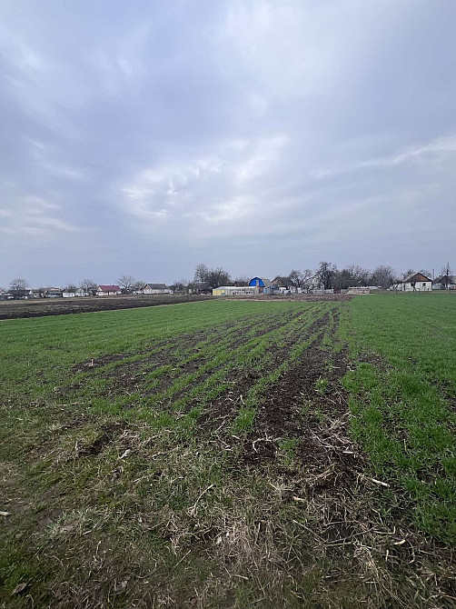 Продаж земельної ділянки 30 соток на Клітчин Zhytomyr - photo 4