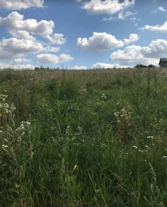 Продаж земельної ділянки 10 соток Тернополь - изображение 3