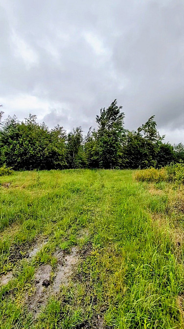 Продаж земельної ділянки 14 соток на урочище за плотами  - photo 5