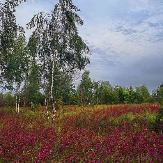 Продаж земельної ділянки 16 соток на Дениші Житомир