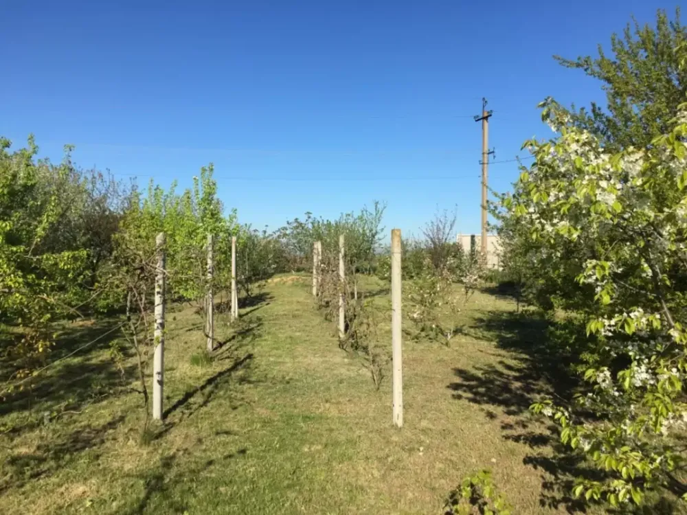 Продаж Будинок на вул. Перемоги Sanzhiika - photo 8