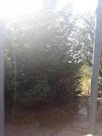 Продаж земельної ділянки 6 соток на ул. Родниковая-3 (ул. (ОСК "Чайка" СК "Родничок)), 10 Алтестове