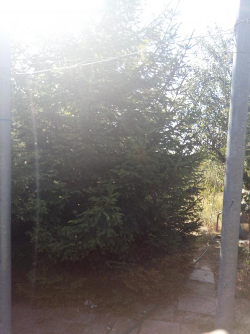 Продаж земельної ділянки 0.1 соток на ул. Родниковая-3 (ул. (ОСК "Чайка" СК "Родничок)), 10 Алтестове - фото 5