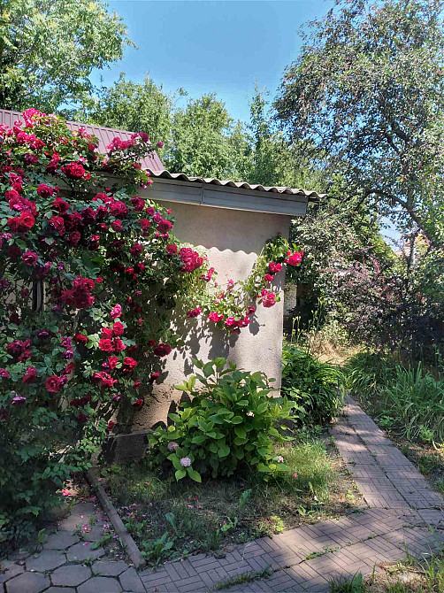 Продам дачу на 4 сотках земли в районе Дача Ковалевского Одеса - фото 2