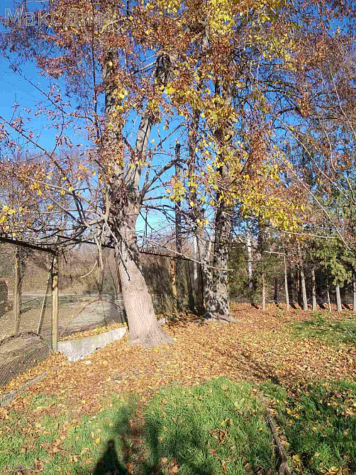 Продаж Будинок 5-кімнатний Супрановка - изображение 19