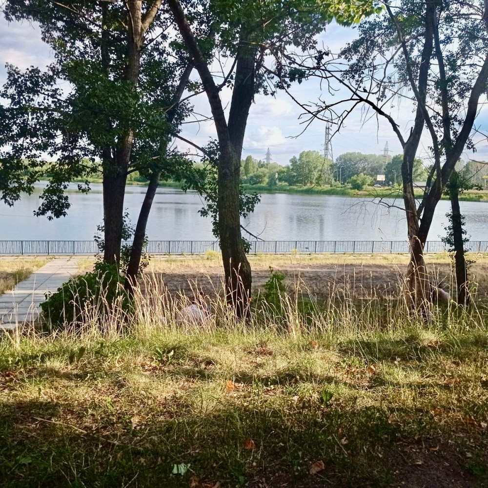 Оренда Квартира 2-кімнатна, 7/17 поверх на Левка Лукяненка, 2/4 Kiev - photo 16