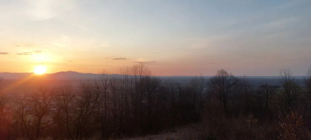 Продаж земельної ділянки 29 соток Жураки - фото 15